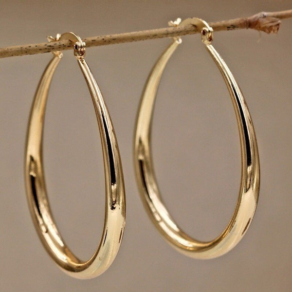 Geometric Oval Electroplated Earrings