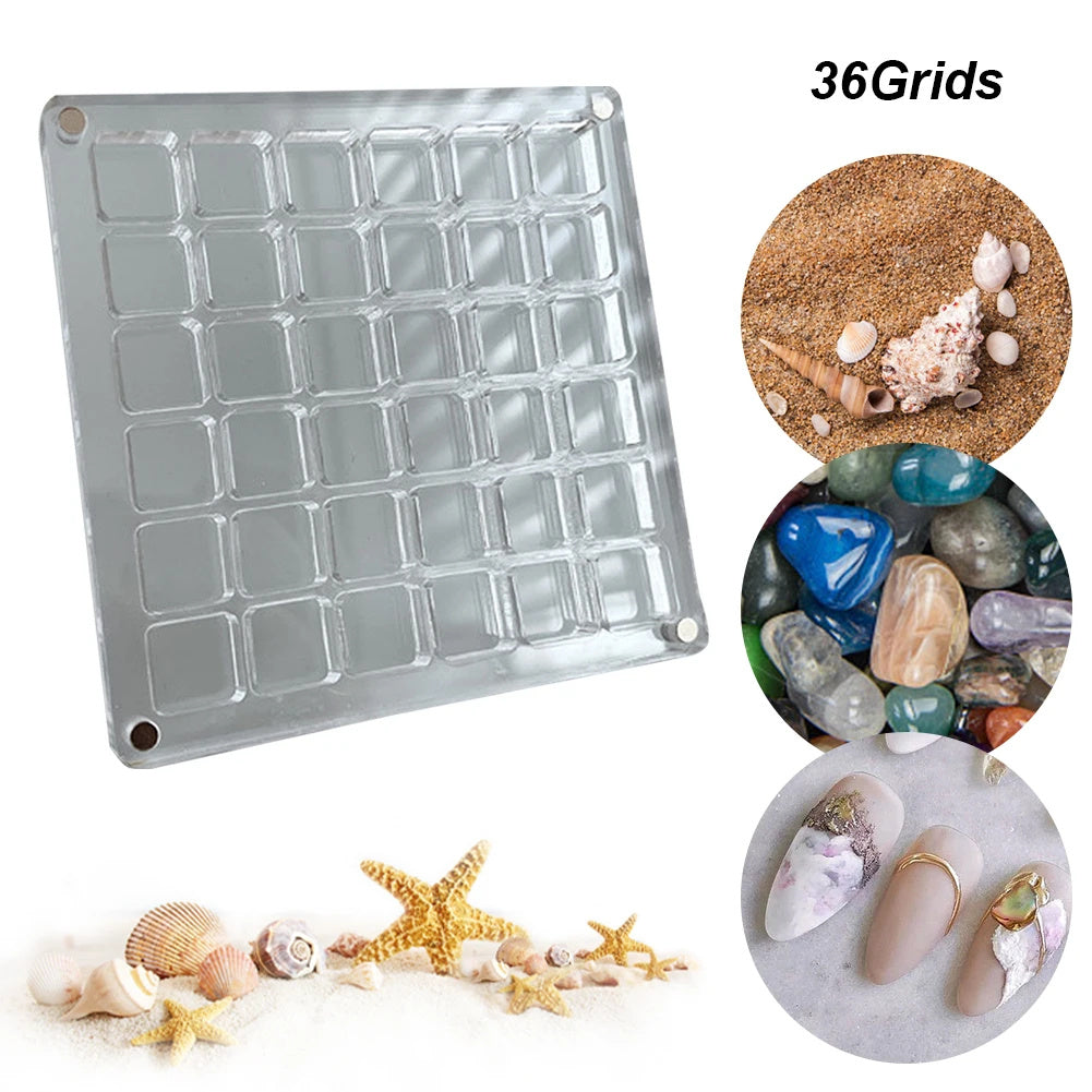 Acrylic Magnetic Seashell and Craft Display Box