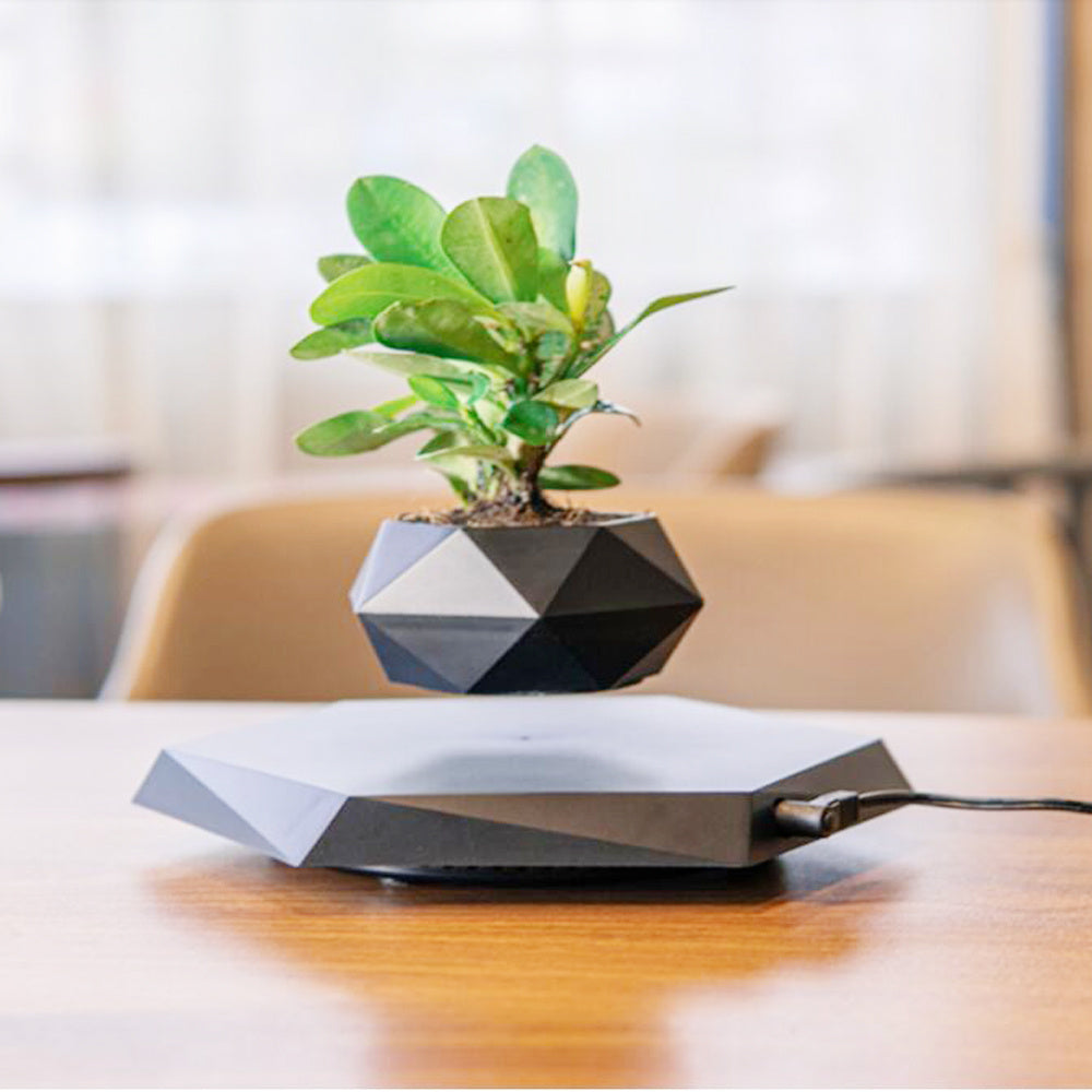 Floating Magnetic Levitating Flower Pot - Hexagonal Wood Grain