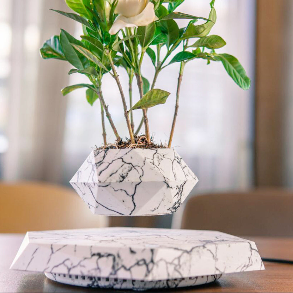 Floating Magnetic Levitating Flower Pot - Hexagonal Wood Grain