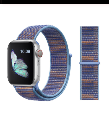 Watch band