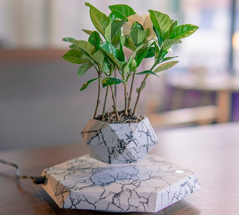 Levitating Plant Pot - Marble Color Floating Planter