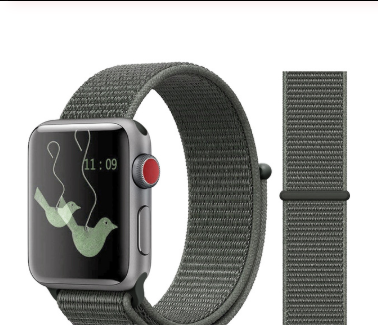 Watch band