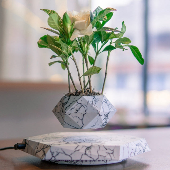 Levitating Plant Pot - Marble Color Floating Planter