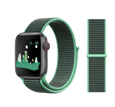 Watch band