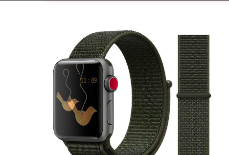 Watch band