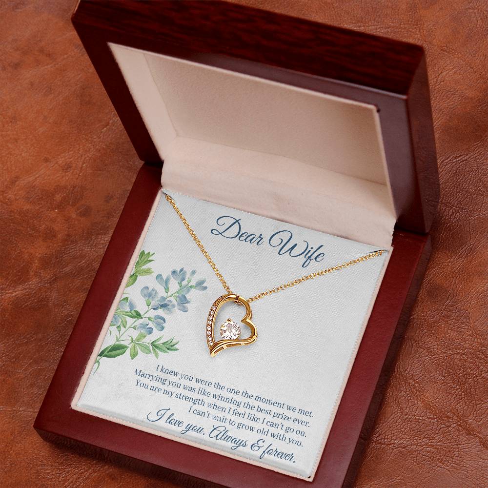 Forever Love Necklace with Message Card : Gifts for Wife - I Knew You Were the One the Moment we Met - For Anniversary, Birthday