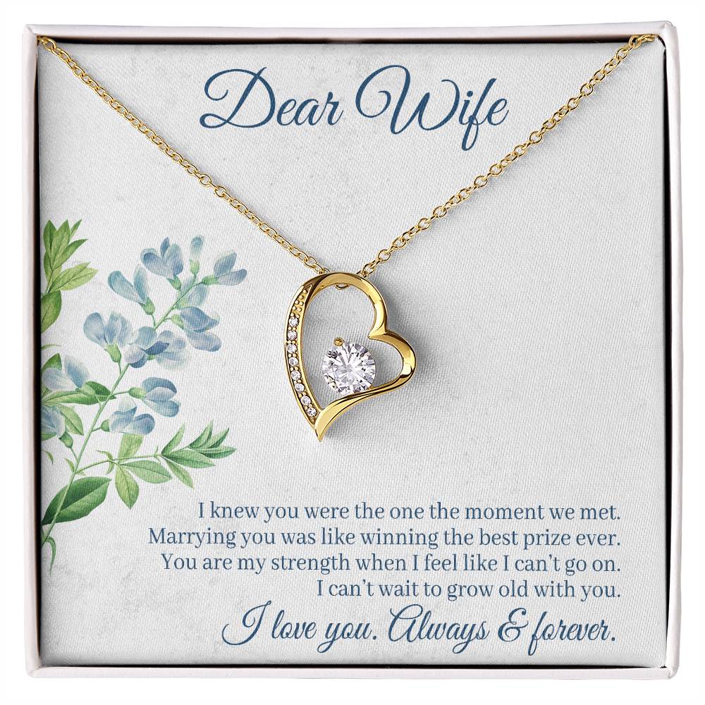 Forever Love Necklace with Message Card : Gifts for Wife - I Knew You Were the One the Moment we Met - For Anniversary, Birthday