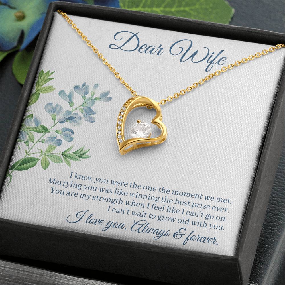 Forever Love Necklace with Message Card : Gifts for Wife - I Knew You Were the One the Moment we Met - For Anniversary, Birthday