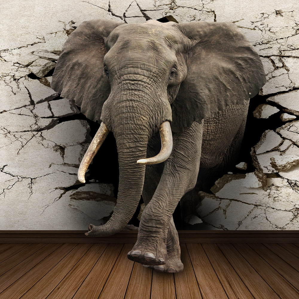 Creative Home Decor Elephant Canvas Painting