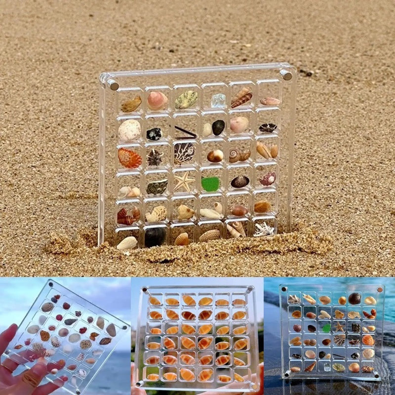 Acrylic Magnetic Seashell and Craft Display Box