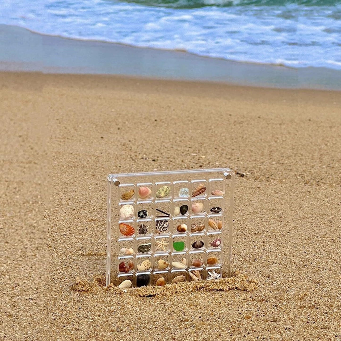 Acrylic Magnetic Seashell and Craft Display Box